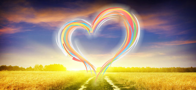 草地上有一個顆絢麗的心型圖案,可用于體現用心服務的企業文化。